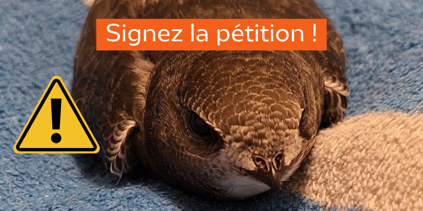 Signez la pétition !